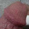 foto do perfil kalnor